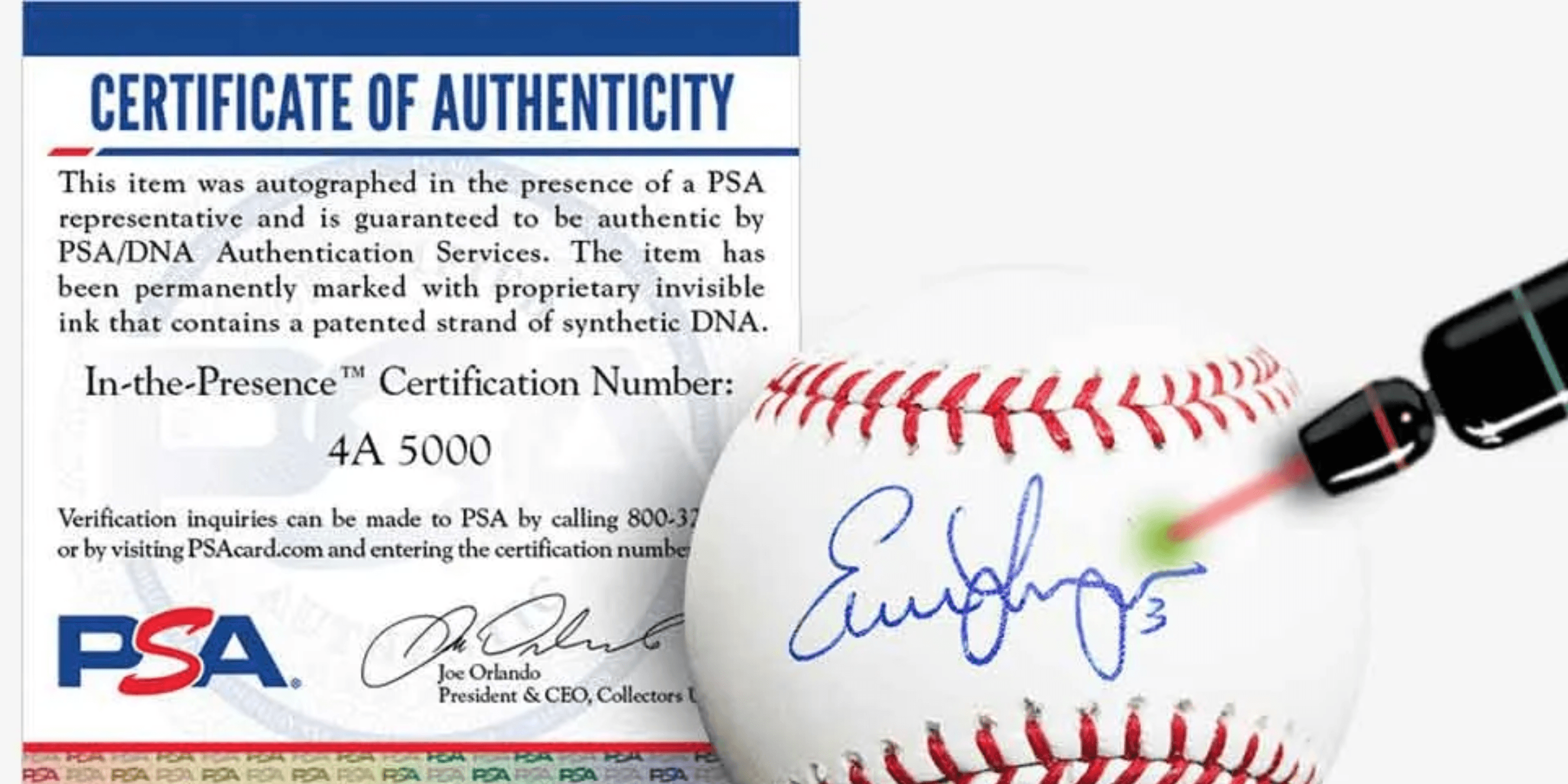  Autograph Authentic