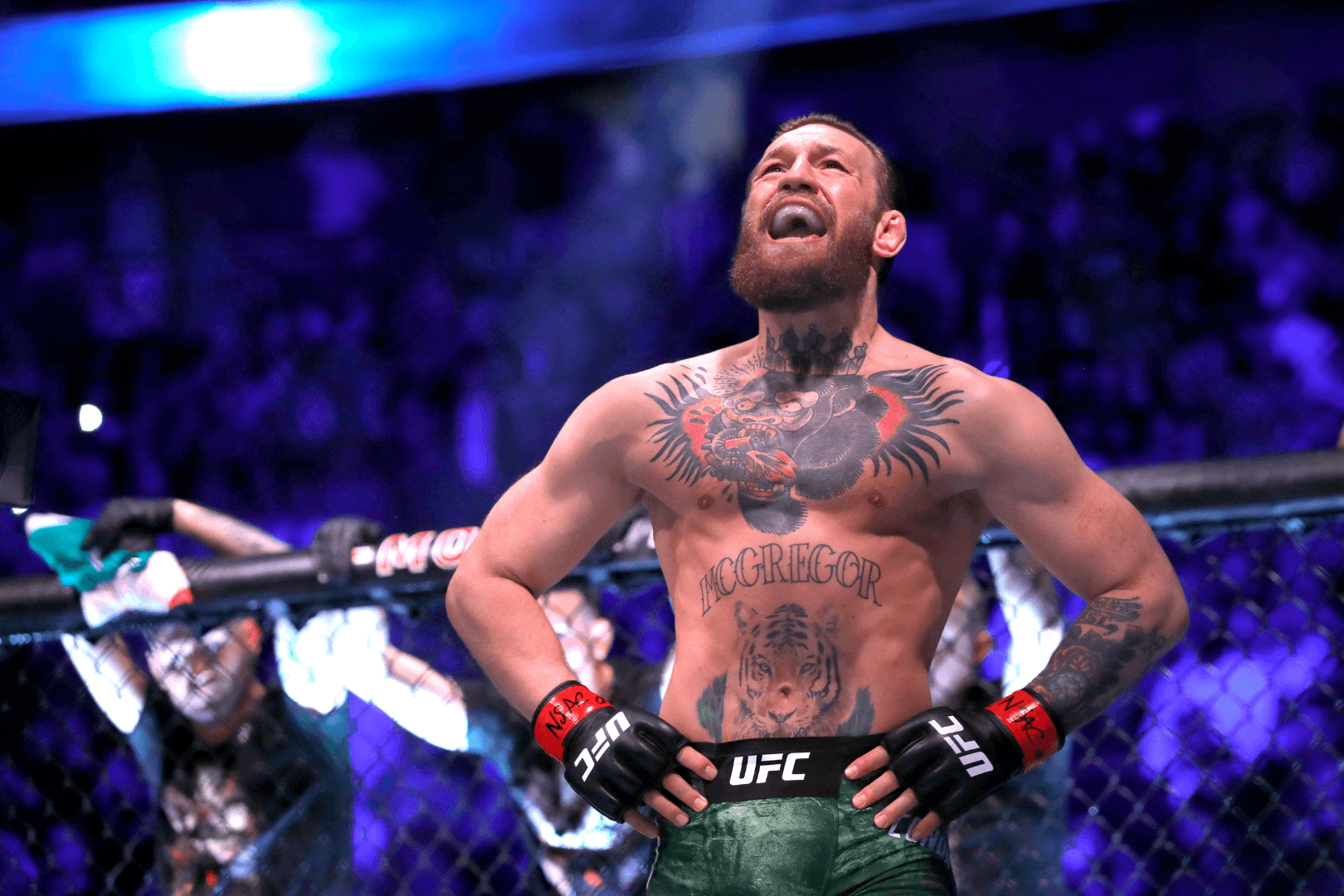 The Undeniable Greatness of Conor McGregor: UFC's Greatest Fighter of All  Time