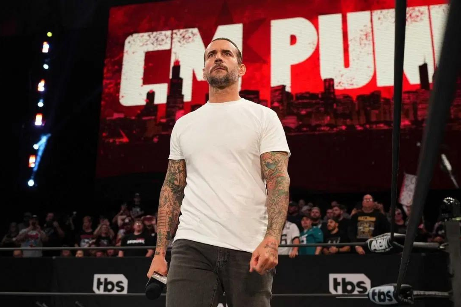 What is CM Punk's Net Worth in 2024? Fan Arch