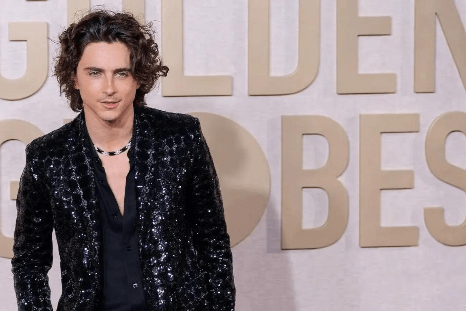 What is Timothée Chalamet's Net Worth in 2024? Fan Arch