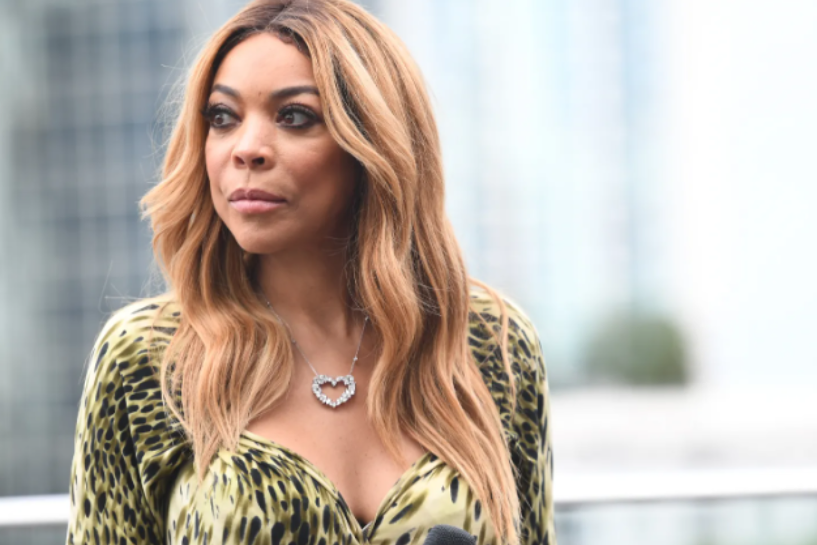 What is Wendy Williams Net Worth in 2024? | Fan Arch