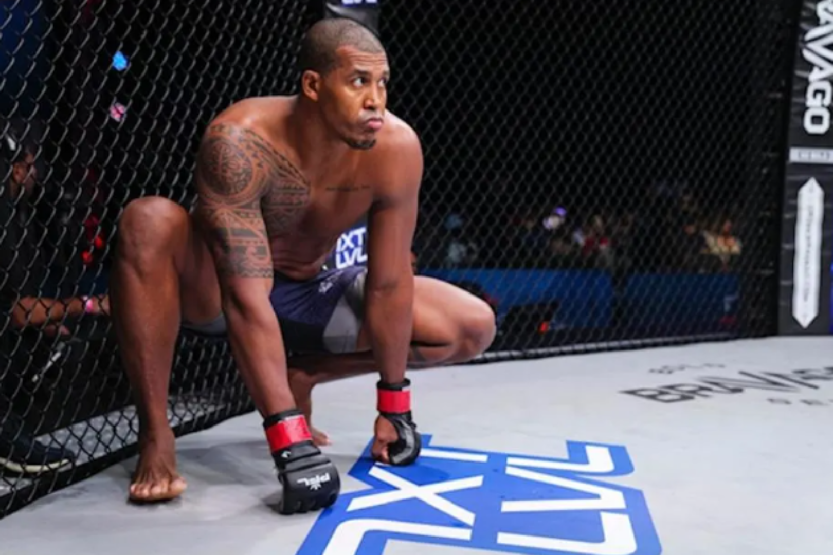 Renan Ferreira: Rising Star In MMA - Career Highlights And Fighter Pro