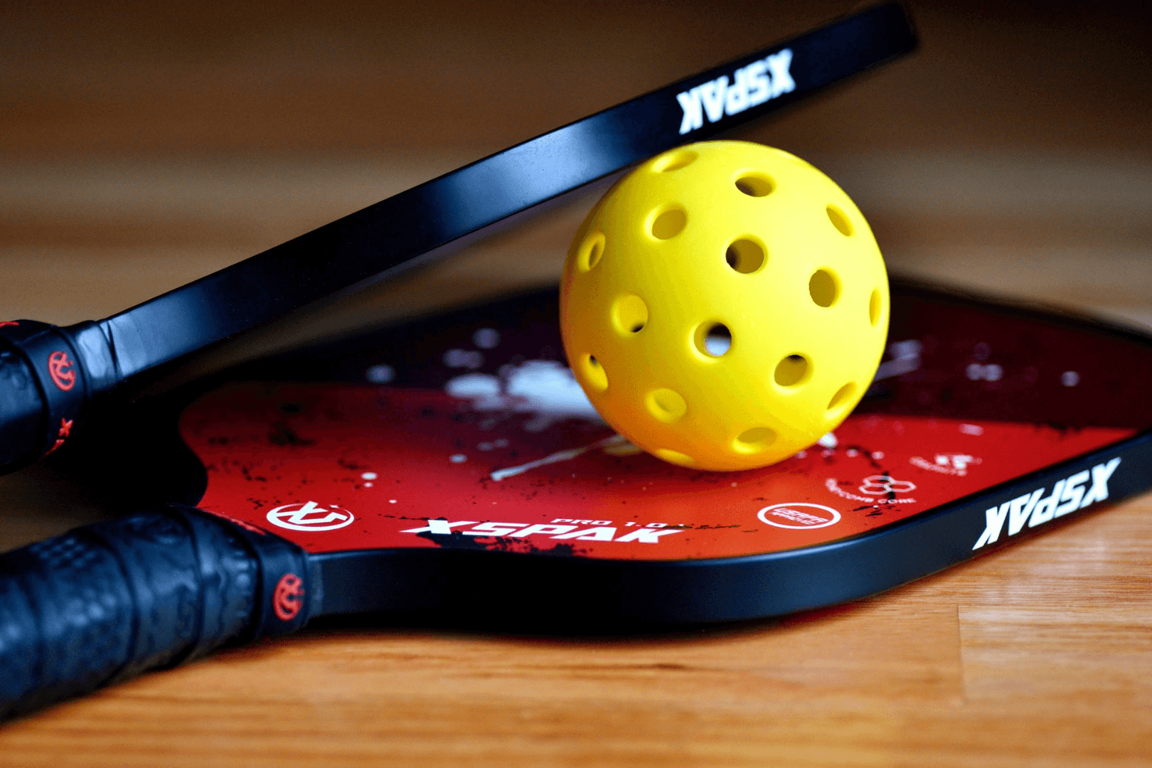 Best christmas gifts for someone getting into pickleball Fan Arch