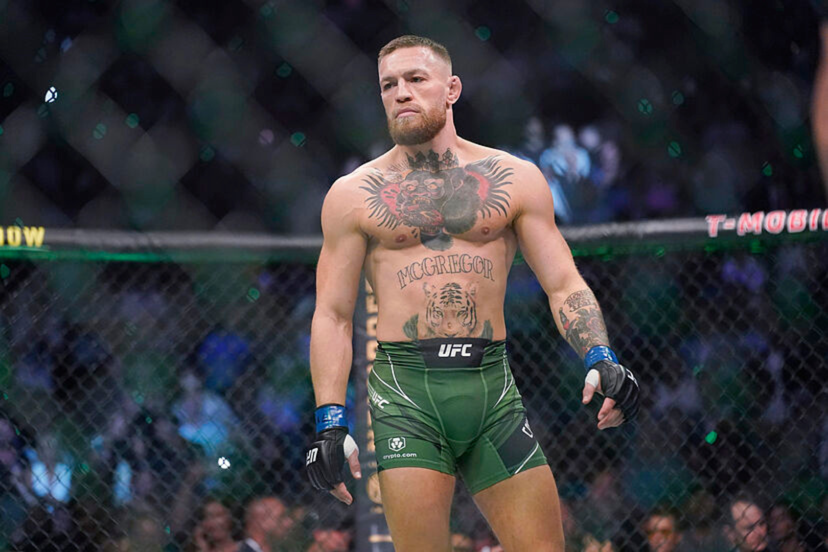 Conor McGregor's UFC comeback confirmed by Chandler - 'it's happening', UFC, Sport