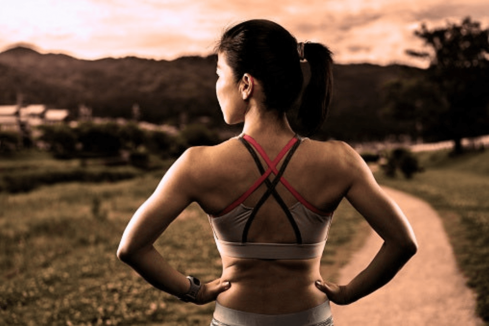 Fiona Low-Impact Sports Bra  Low impact sports bra, Active wear for women, Sports  bra