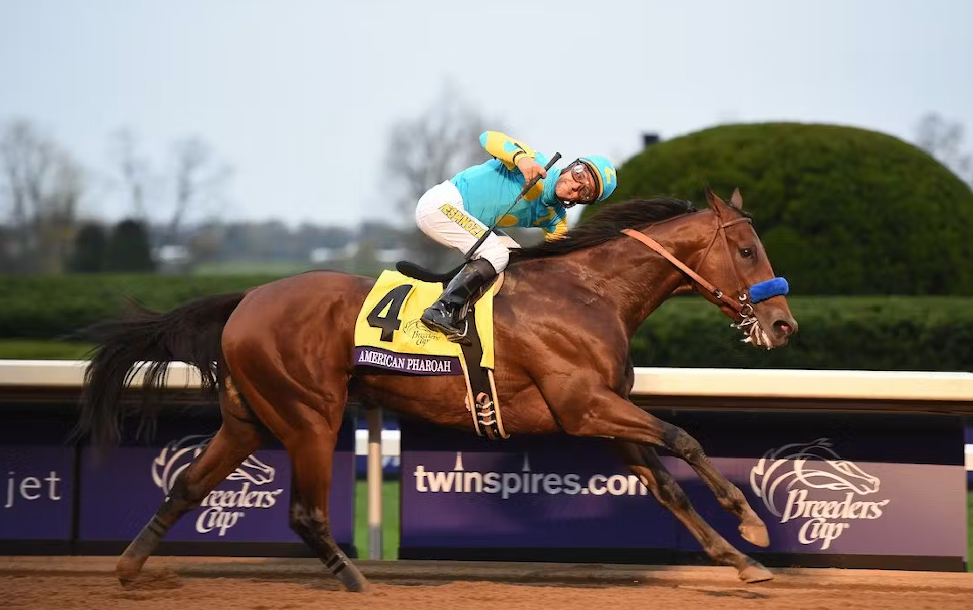 The Legendary Equine Superstars Top 10 Racehorses of All Time Fan Arch