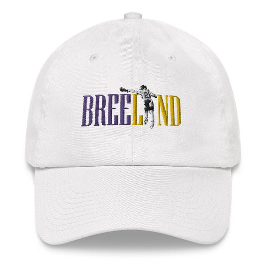Bashaud Breeland "B21" hat - Fan Arch
