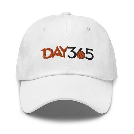 Austin Mills "DAY 365" hat - Fan Arch
