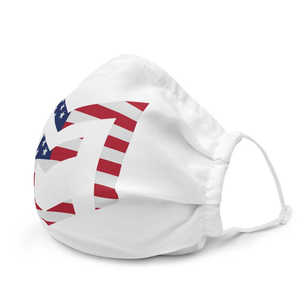 Michael Cherry "USA" mask - Fan Arch