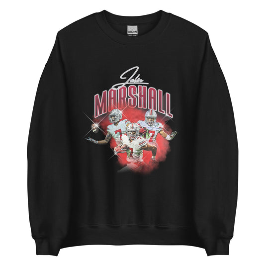 Jalin Marshall "Vintage" Sweatshirt - Fan Arch