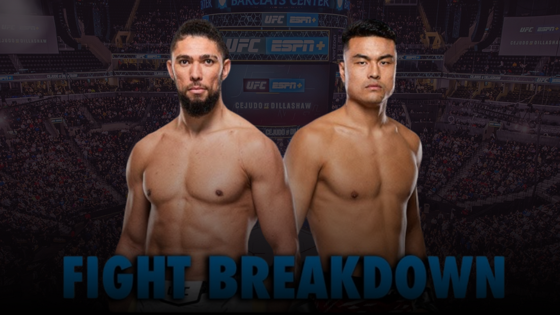 Breakdown: UFC’s Top Contenders After Last Weekend’s Fights
