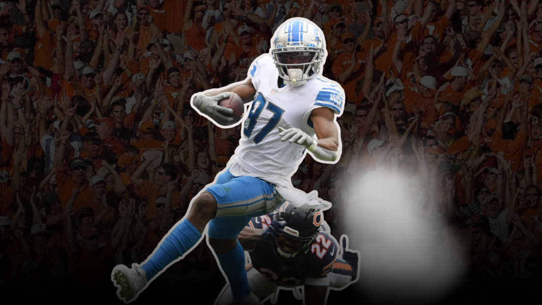 Houston Texans Add WR Quintez Cephus—Depth Move or Hidden Gem?
