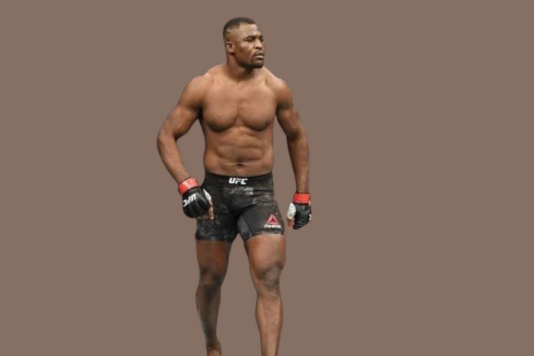 How Much did Francis Ngannou Make in Boxing?