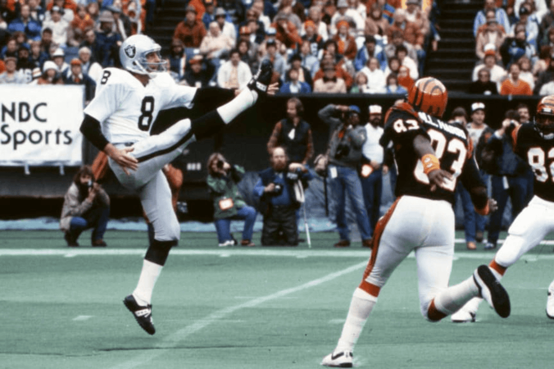 The Top 10 Greatest NFL Punters of All-Time - Fan Arch