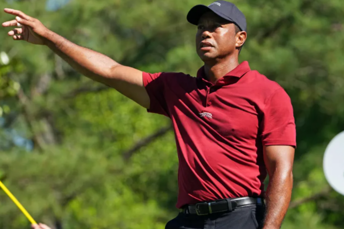 What is Tiger Woods's Net Worth in 2024 - Fan Arch