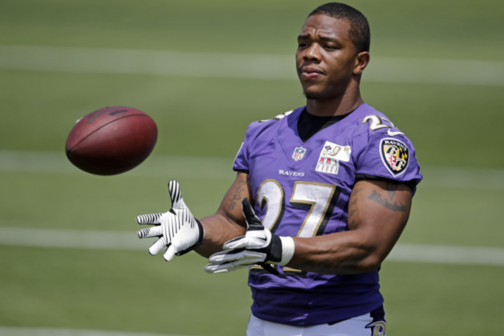 Ray Rice's Net Worth Financial Impact of NFL Career and Controversy