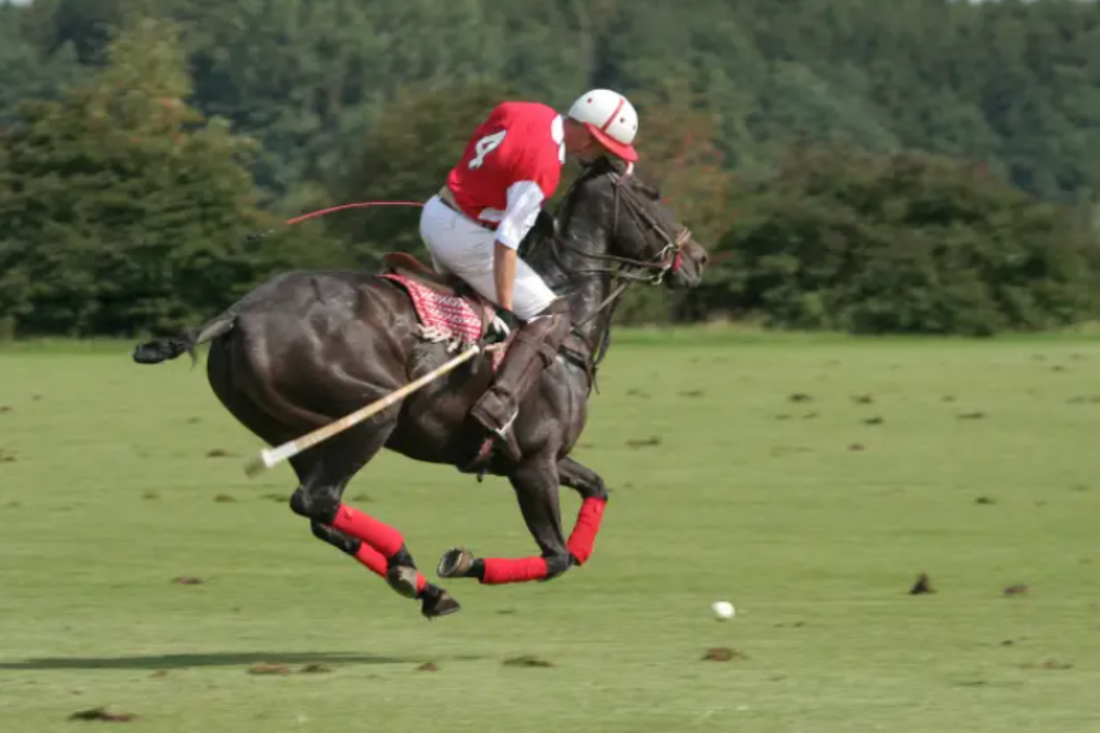 Why Was Polo Removed From the Olympics?