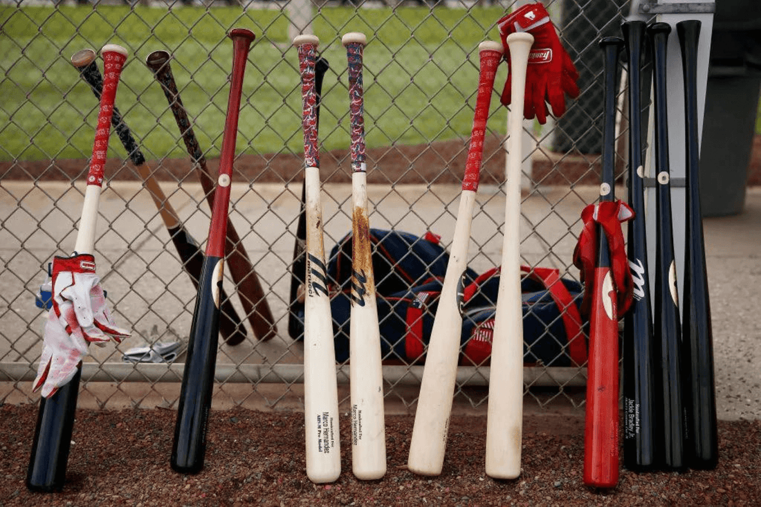 What are the best baseball bats?