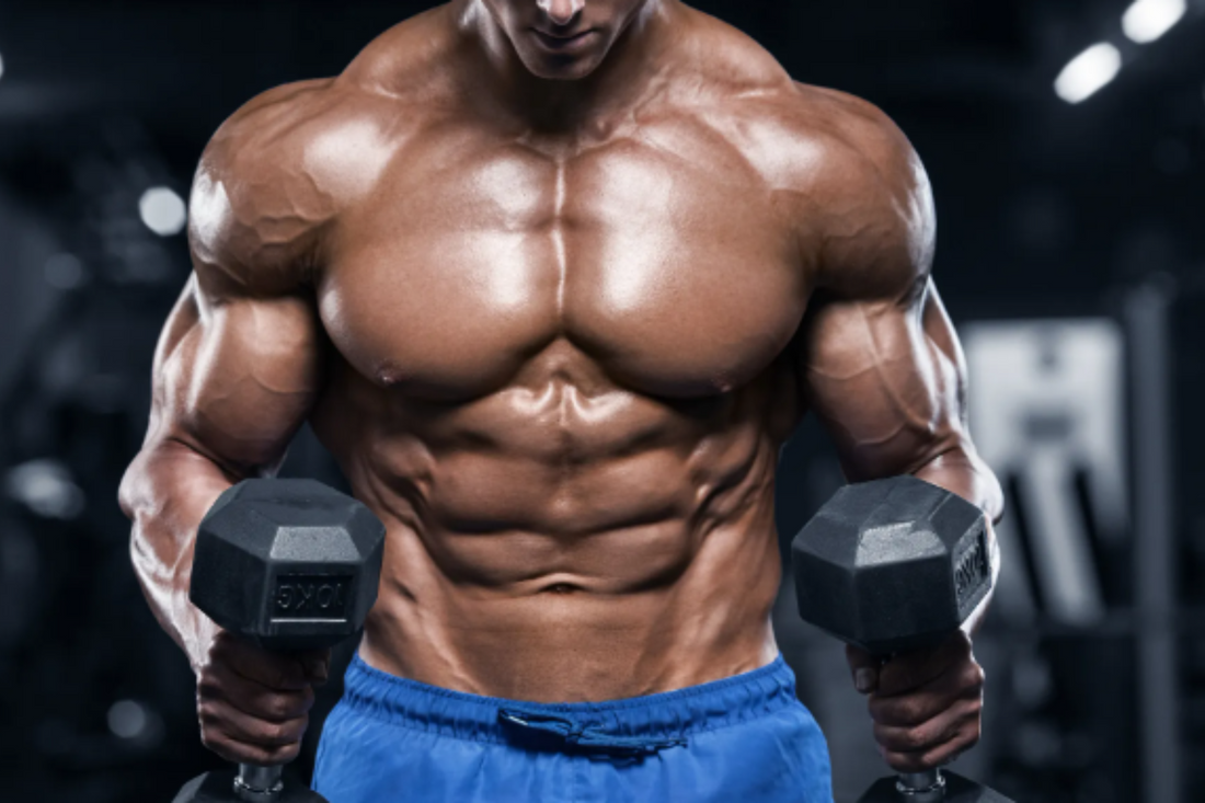 How Does Bodybuilding Effect Your Body?