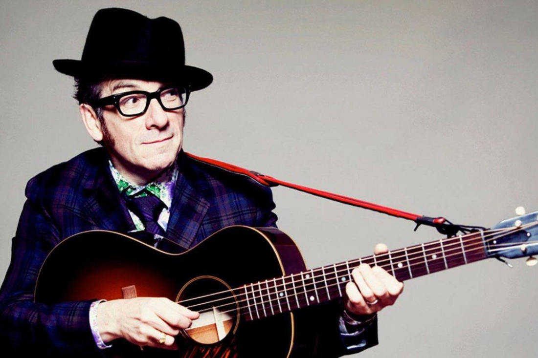 What is the Elvis Costello Net Worth in 2024? | Fan Arch