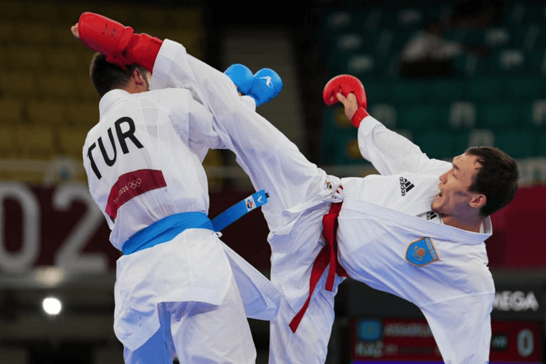 Why Karate was Dropped from the 2024 Summer Olympics Fan Arch