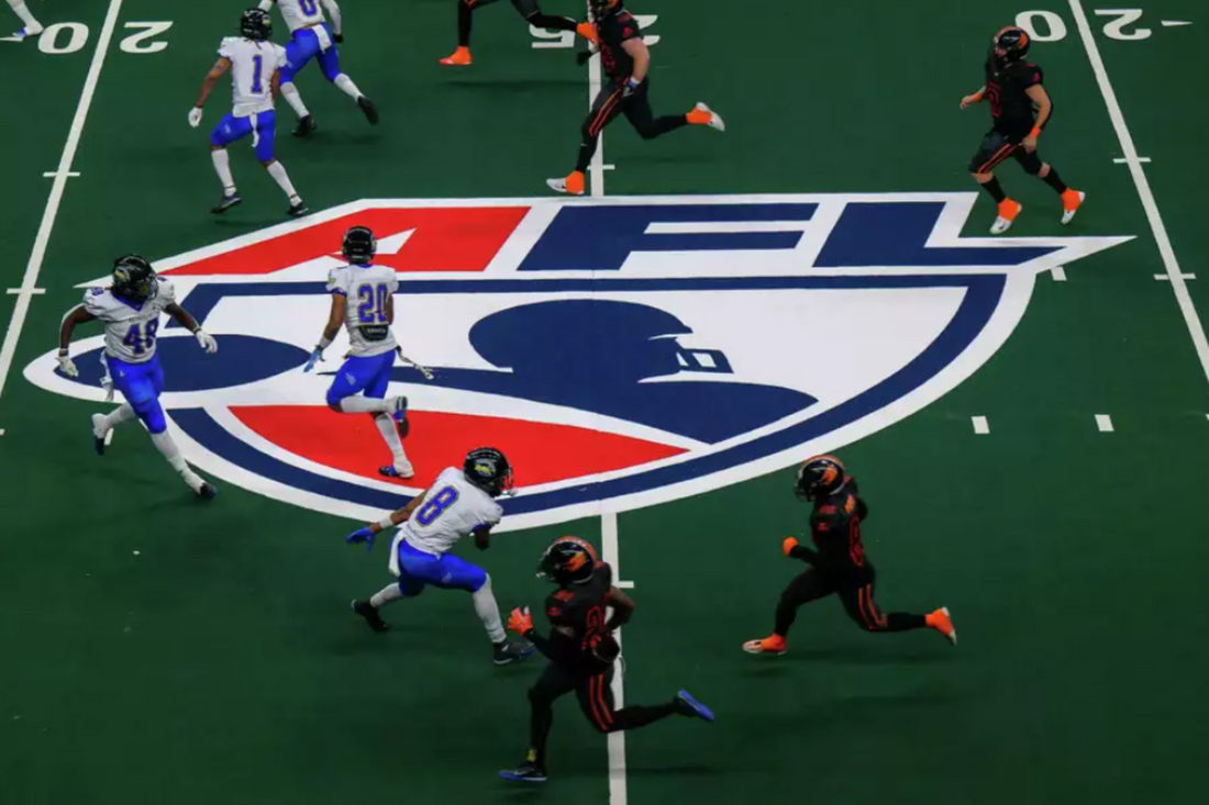 The Downfall of the Arena Football League (AFL)
