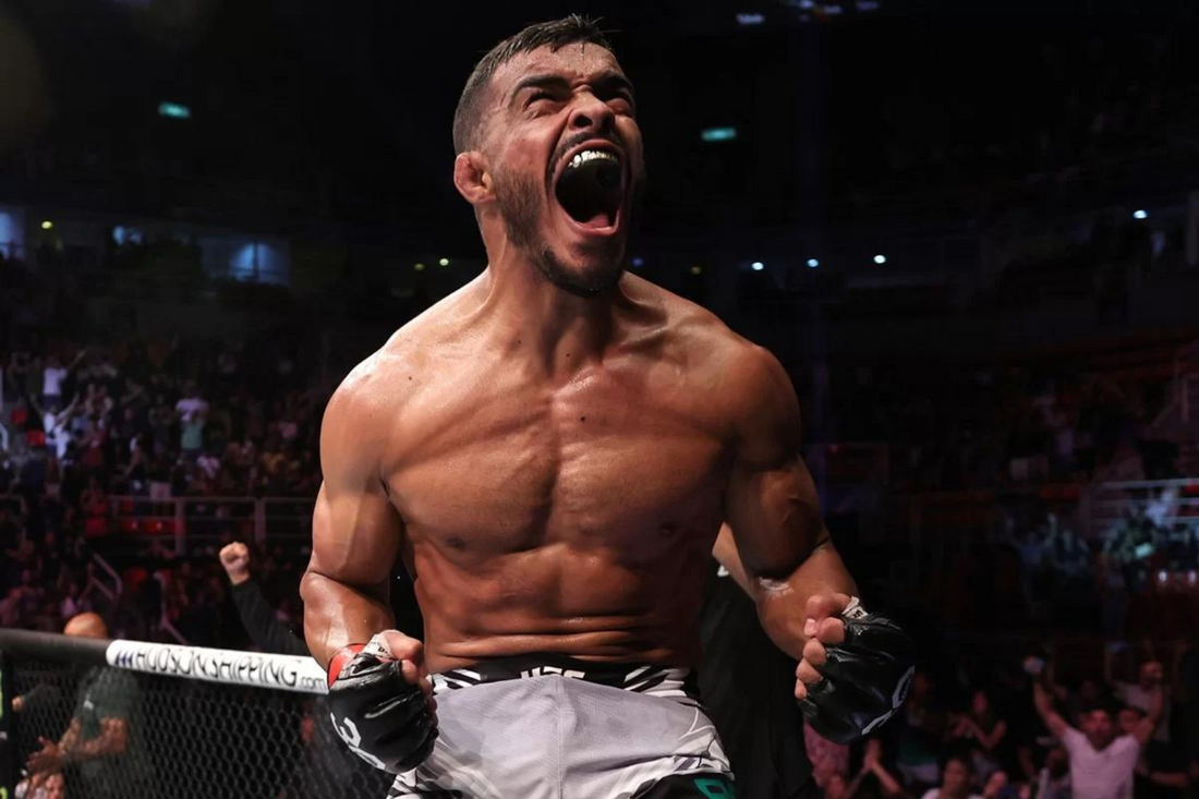 Ismael Bonfim: A Rising UFC Lightweight Fighter