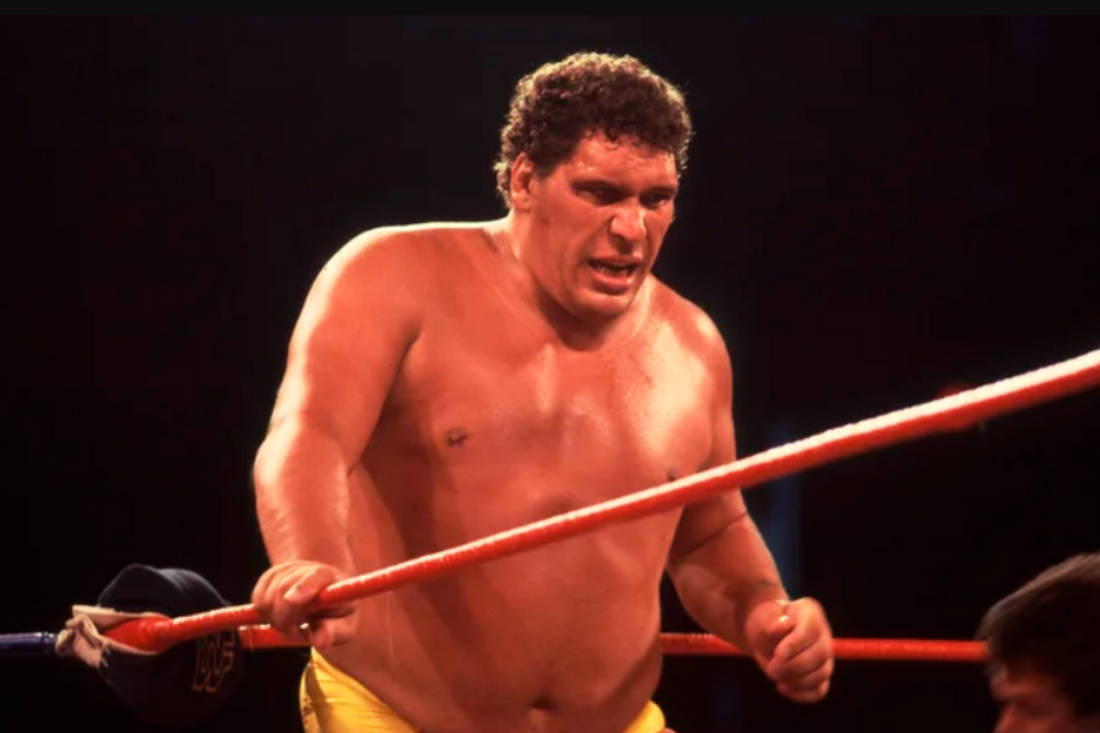 What Caused Andre the Giant's Death? - Fan Arch