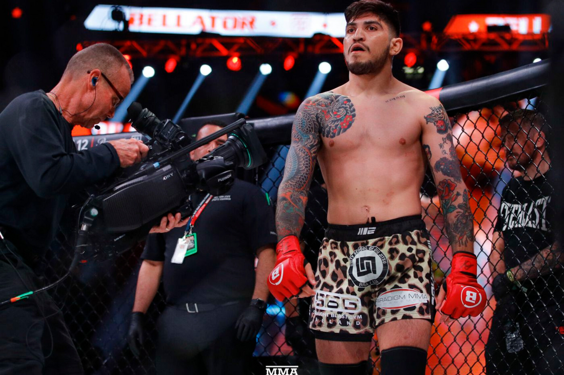 How good is Dillon Danis at MMA?