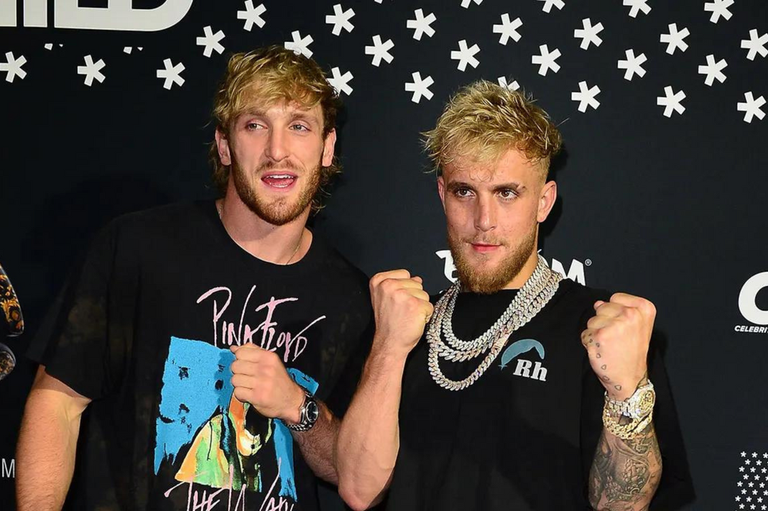 Do Logan and Jake Paul get along?