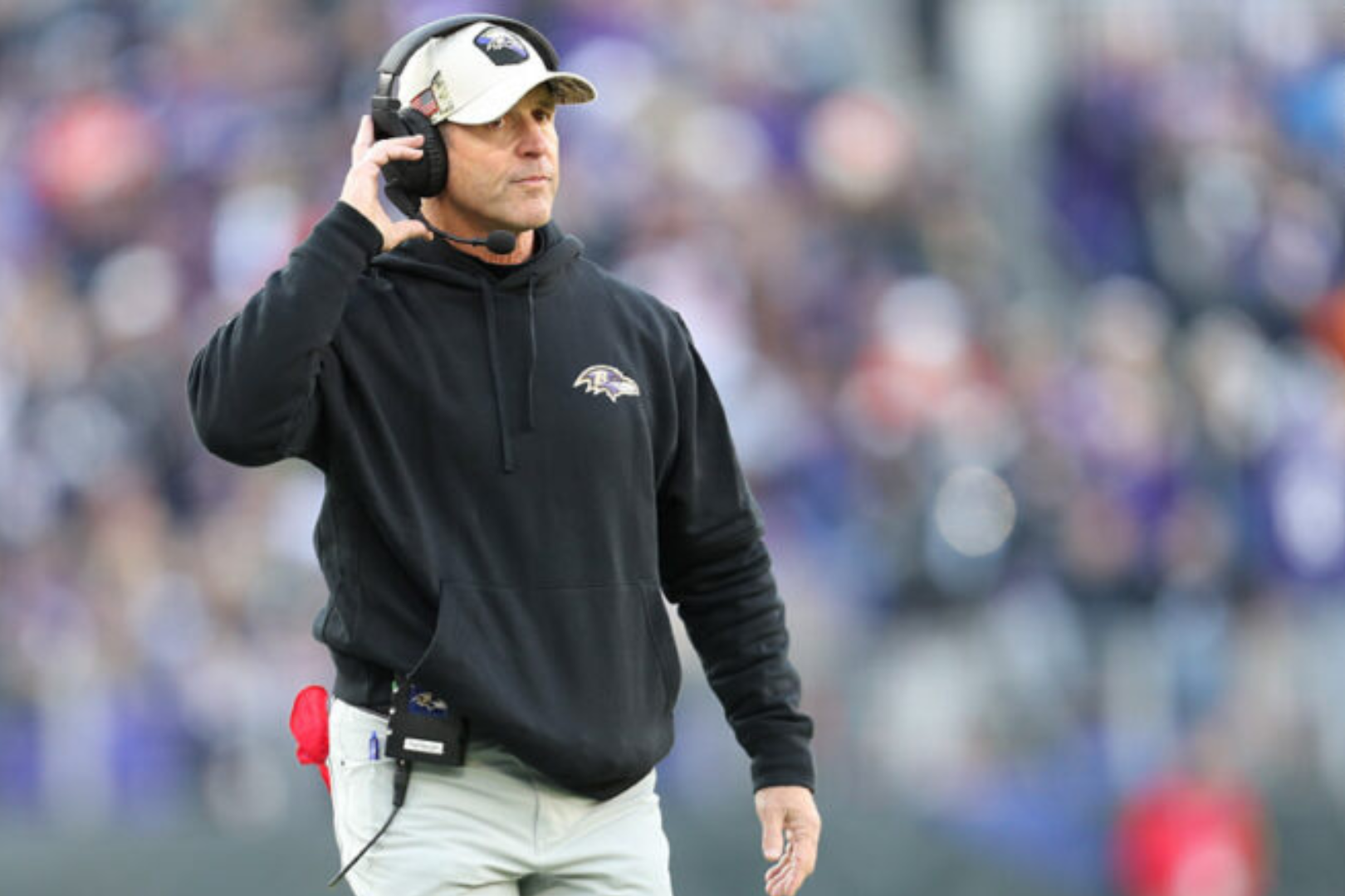 How many Super Bowls has John Harbaugh Won? | Fan Arch