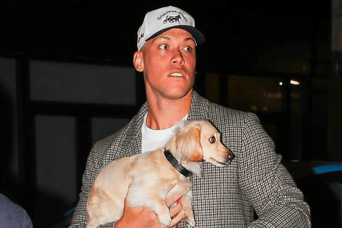 Does Aaron Judge have a dog? - Fan Arch