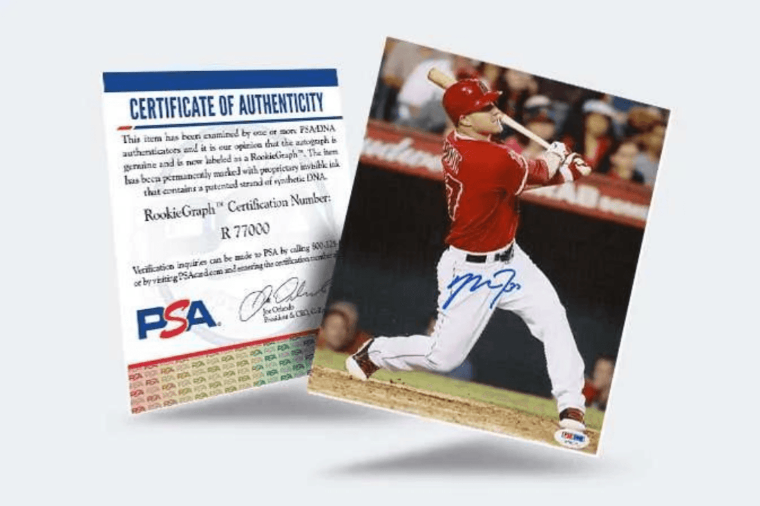 What happens if you lose a certificate of authenticity? - Fan Arch