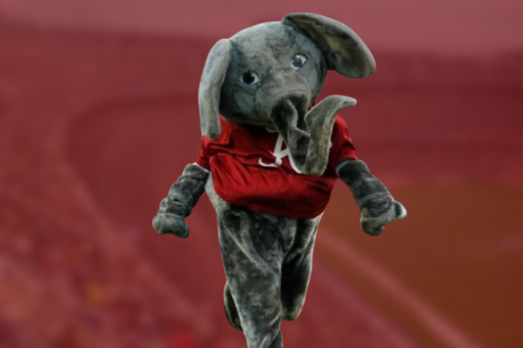 Alabama Elephant Set main image 1