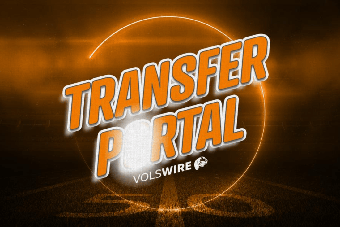 How do you get picked up in the transfer portal? | Fan Arch