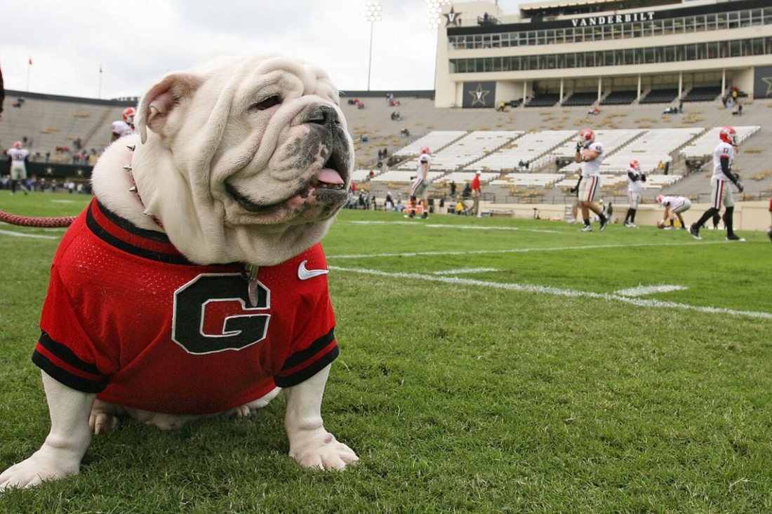 The Top 10 Mascots in College Sports - Fan Arch