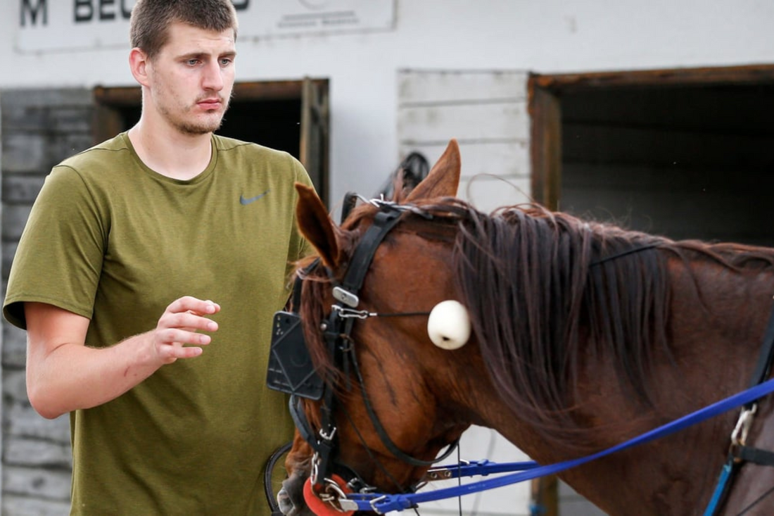 The Story of Nikola Jokic's Love for Horses