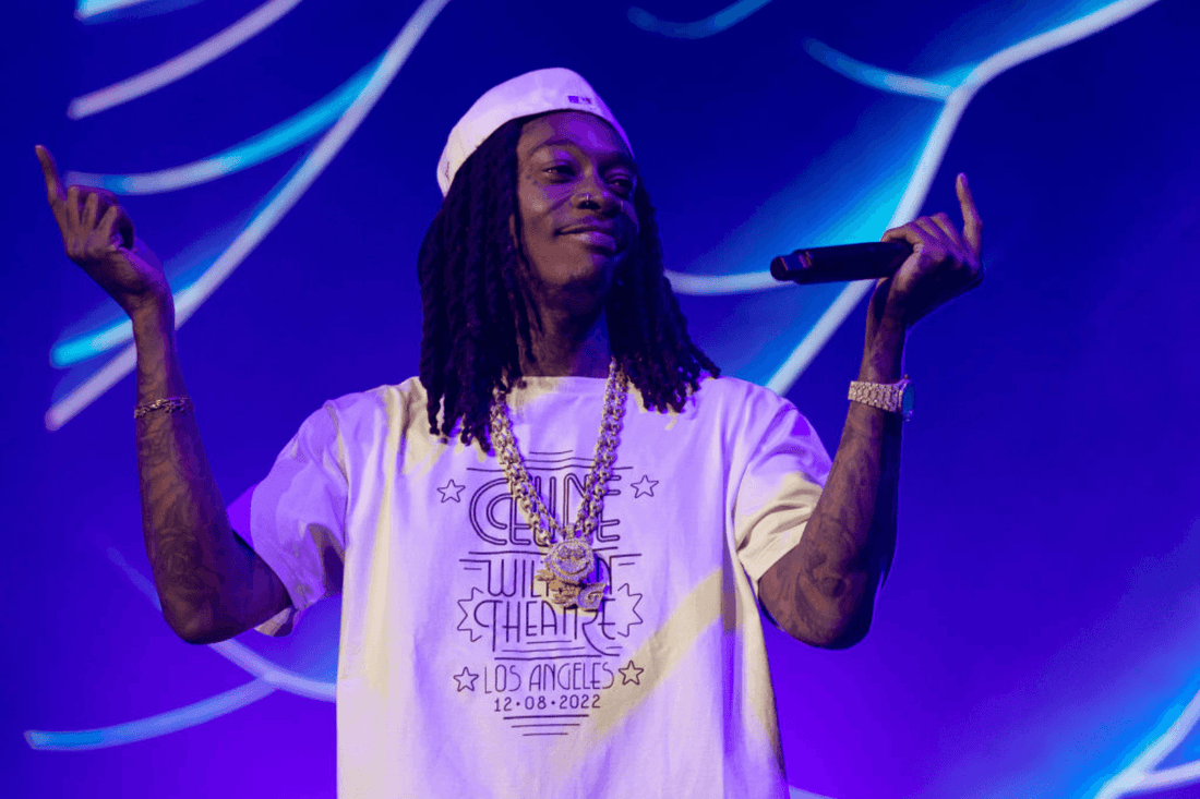 Wiz Khalifa's Involvement with the Professional Fighters League (PFL) - Fan Arch