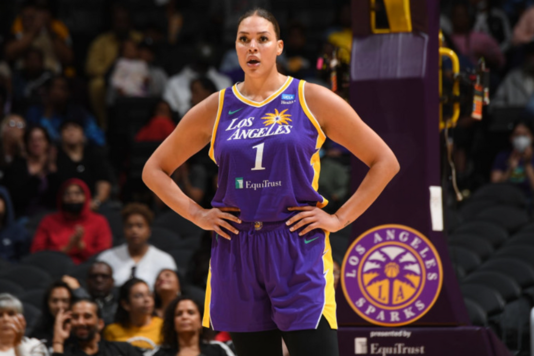 What is Liz Cambage's Net Worth in 2024?