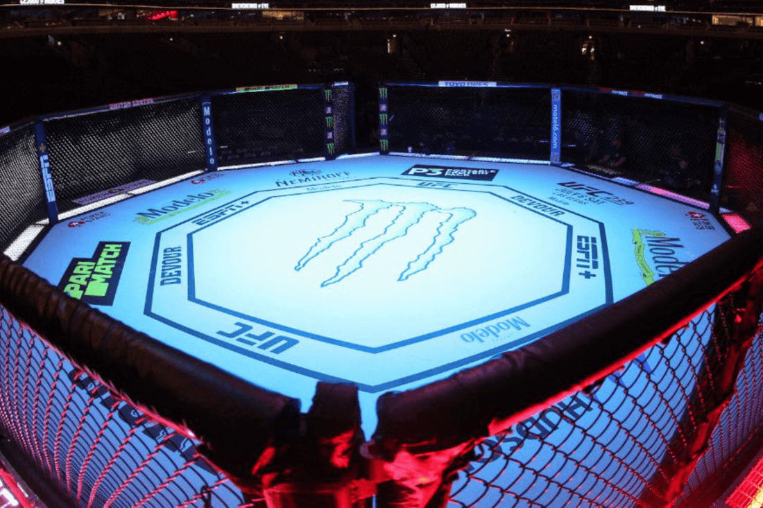 Mixed martial arts (MMA) | Britannica