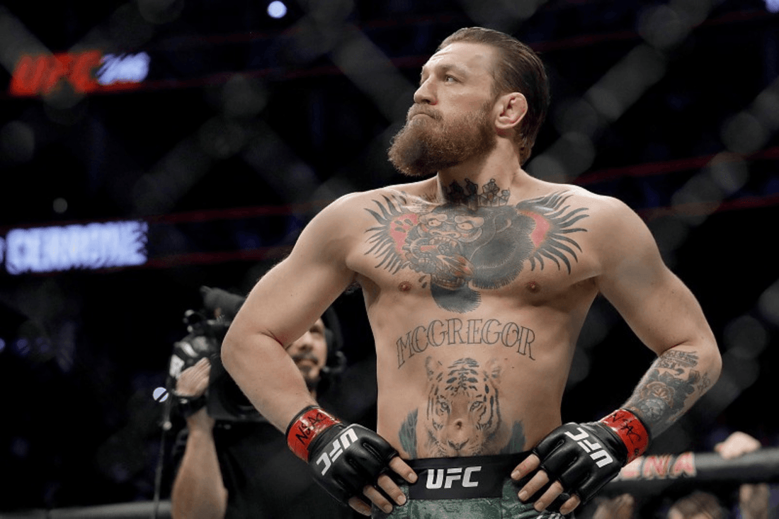 What is Conor McGregor's Net Worth in 2024 - Fan Arch
