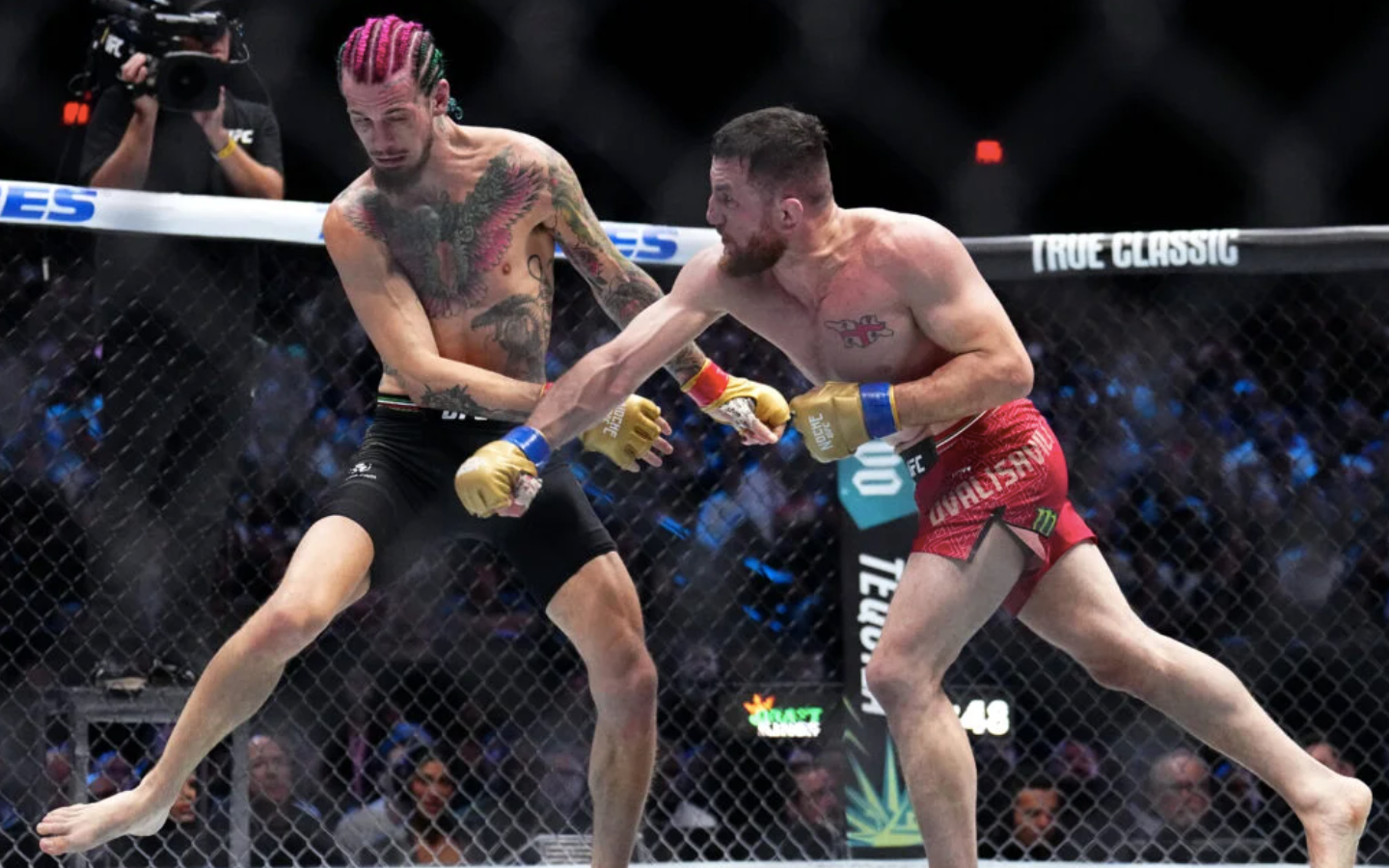 article_img / Is Sean O'Malley vs Merab Dvalishvili On the Table for Early 2025?