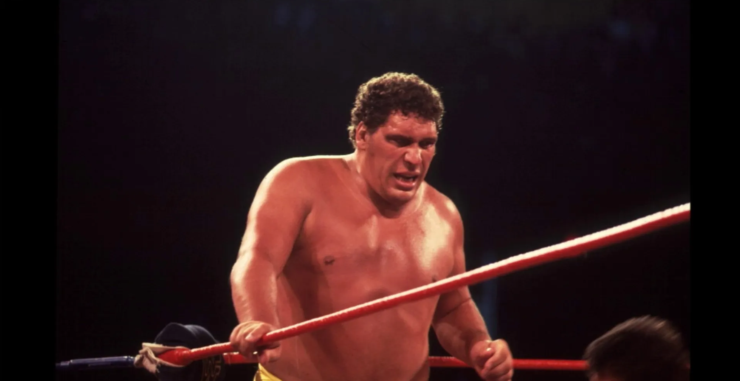 A Breakdown: The Rise to Fame of Andre the Giant