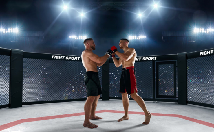 Method of Victory Bets: Reading Fighter Styles in Real Time