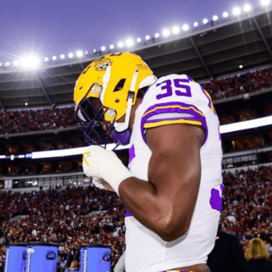 Saivion Jones - Fan Arch.webp