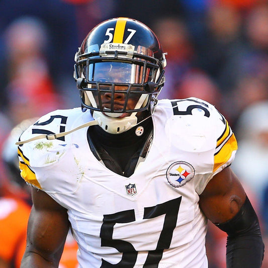 Terence Garvin - Fan Arch.webp