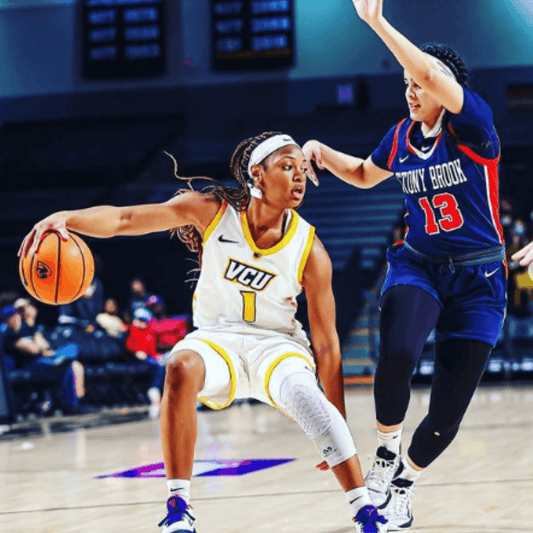 Taya Robinson - Fan Arch.webp