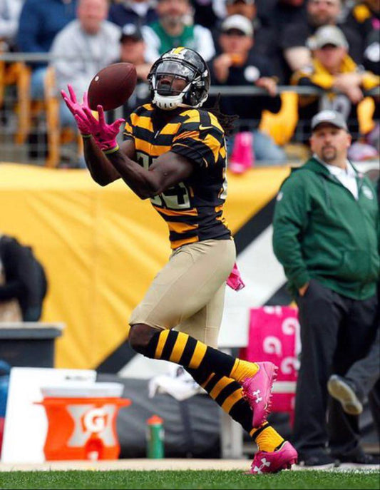 Sammie Coates - Fan Arch.webp