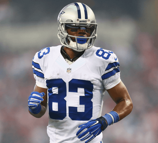 Terrance Williams - Fan Arch.webp