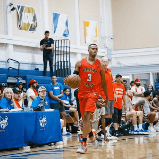 Terrence Joyner - Fan Arch.webp